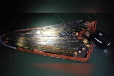 Bot fiber berisi kayu bakau yang dipercayai cuba diseludup dirampas berdekatan jeti Pulau Ketam di sini pada Khamis.