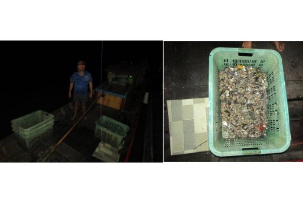 Seorang lelaki tempatan disyaki menjalankan kegiatan mencuri kerang ditahan selepas mengemukakan lesen mengambil kerang tamat tempoh dan beroperasi di luar waktu yang dibenarkan.