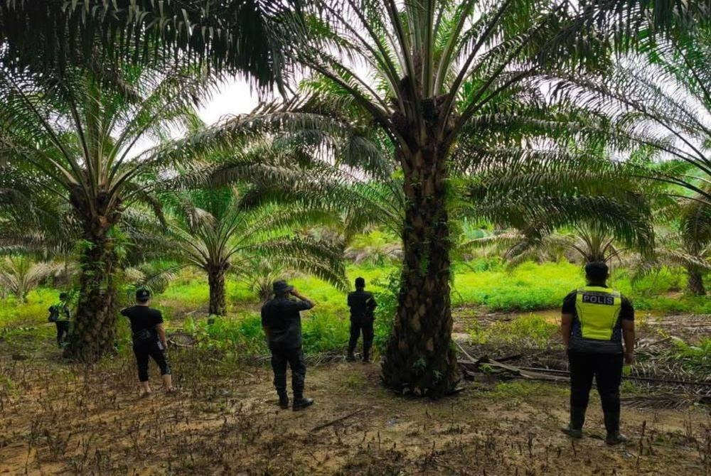 Kawasan pencarian warga emas dilaporkan hilang pada Rabu lalu diperluaskan ke lokasi baru di zon enam iaitu kawasan sekitar Felcra Kampung Sedohok. Foto IPD Kluang