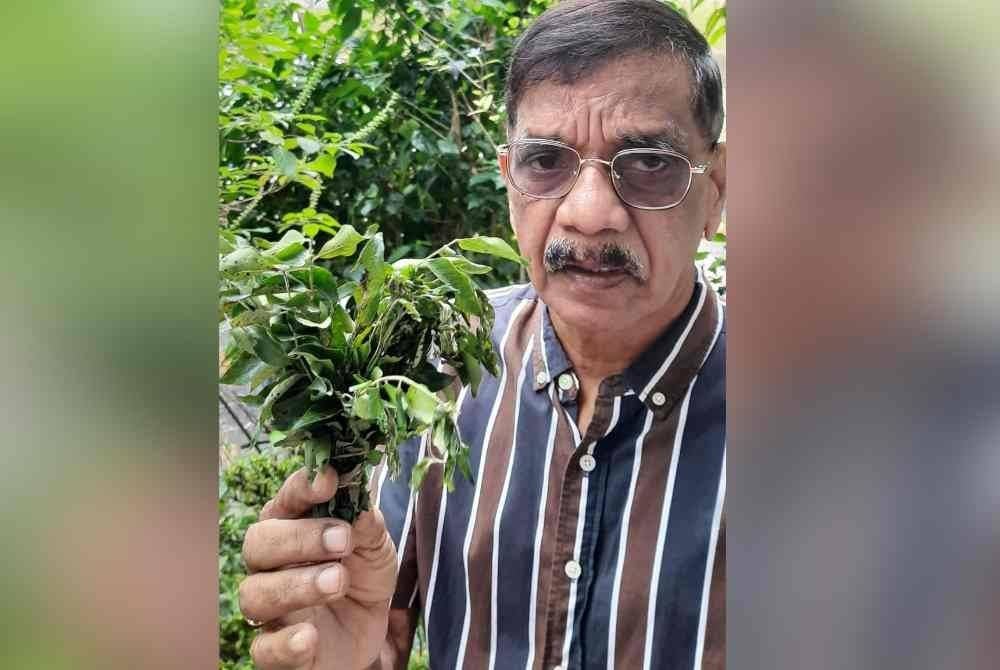 Subbarow menunjukkan daun kari yang harganya melambung tinggi di pasaran.