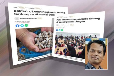 Laporan Sinar Harian berhubung fenomena kerang terdampar di Pantai Sura, Dungun. Gambar kecil: Ruzaidi