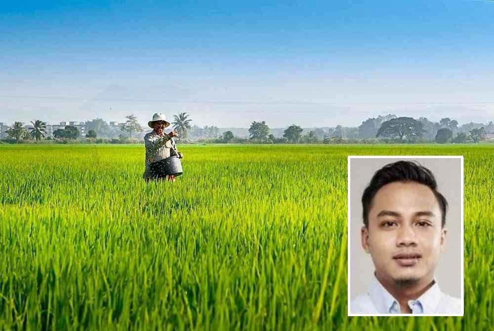 Kerajaan Negeri Pulau Pinang menyokong cadangan KPKM untuk memperkenalkan beras campuran yang menggabungkan beras tempatan dan beras import sebagai langkah penyelesaian terhadap keperluan para pesawah di negeri ini. Gambar hiasan (Gambar kecil: Fahmi)