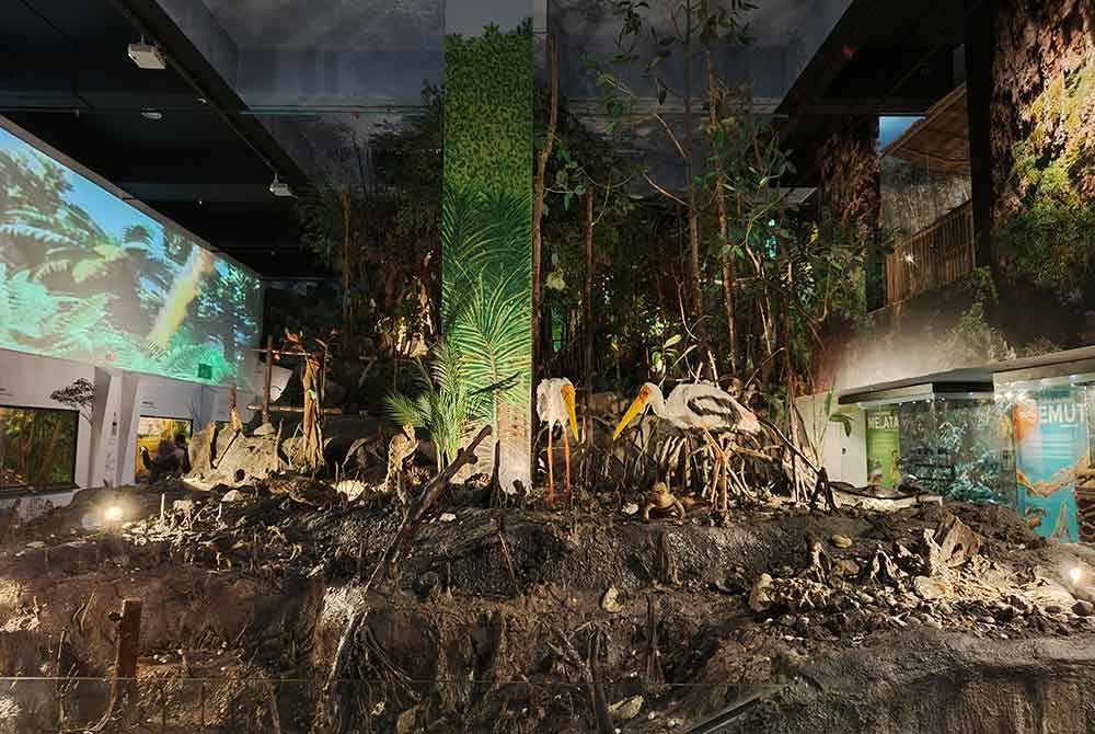 Galeri Alam Semulajadi yang terdapat di Muzium Sultan Alam Shah.
