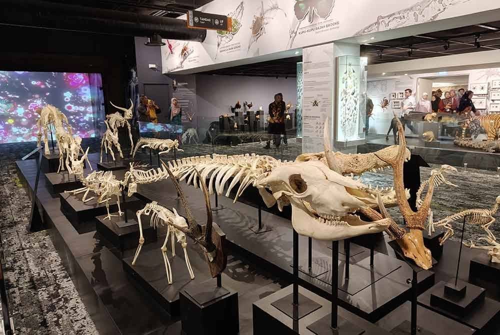 Galeri Alam Semulajadi yang terdapat di Muzium Sultan Alam Shah.