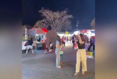 Gajah jantan merempuh dan memijak pengunjung yang hadir ke pesta selepas terkejut bunyi bunga api yang dinyalakan.