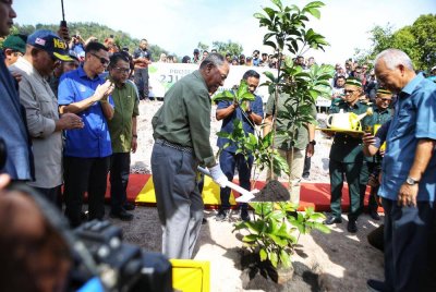 Sultan Sallehuddin menyempurnakan gimik pelancaran dengan menanam anak pokok tampoi pada Selasa. 