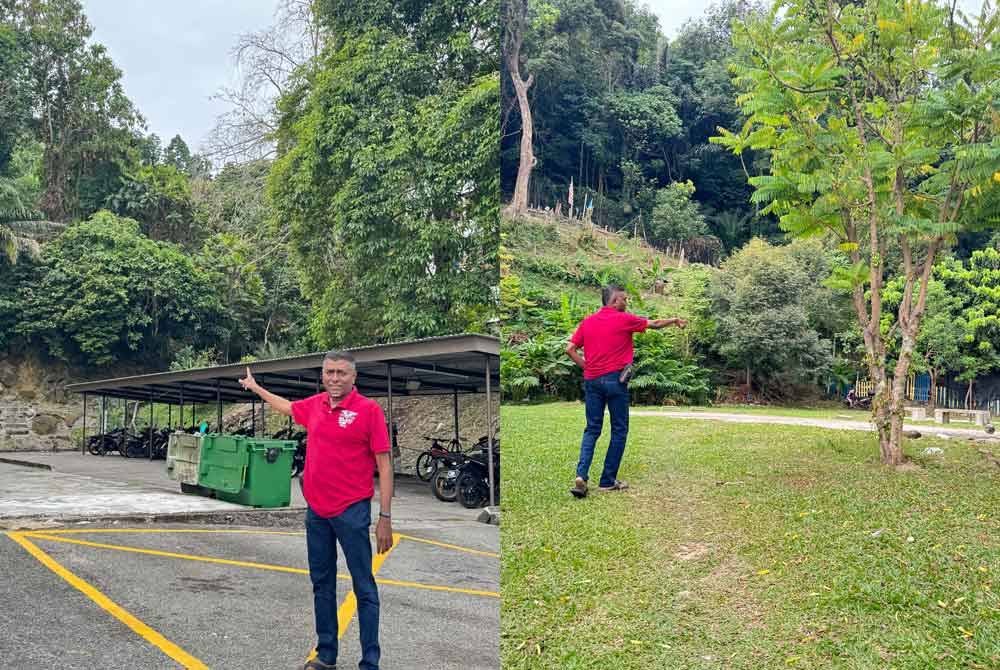 Mohd Farook menunjukkan jarak hutan dengan salah sebuah blok yang terganggu dengan ancaman monyet liar.