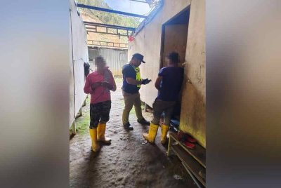 Polis menjalankan pemeriksaan individu di ladang sayur di Tanah Tinggi Lojing, Gua Musang pada Selasa.