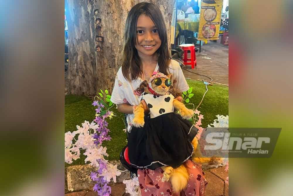 Peminat kucing cilik turut mengambil kesempatan bergambar dengan Adik Qis. FOTO SINAR HARIAN-ADILA SHARINNI WAHID.