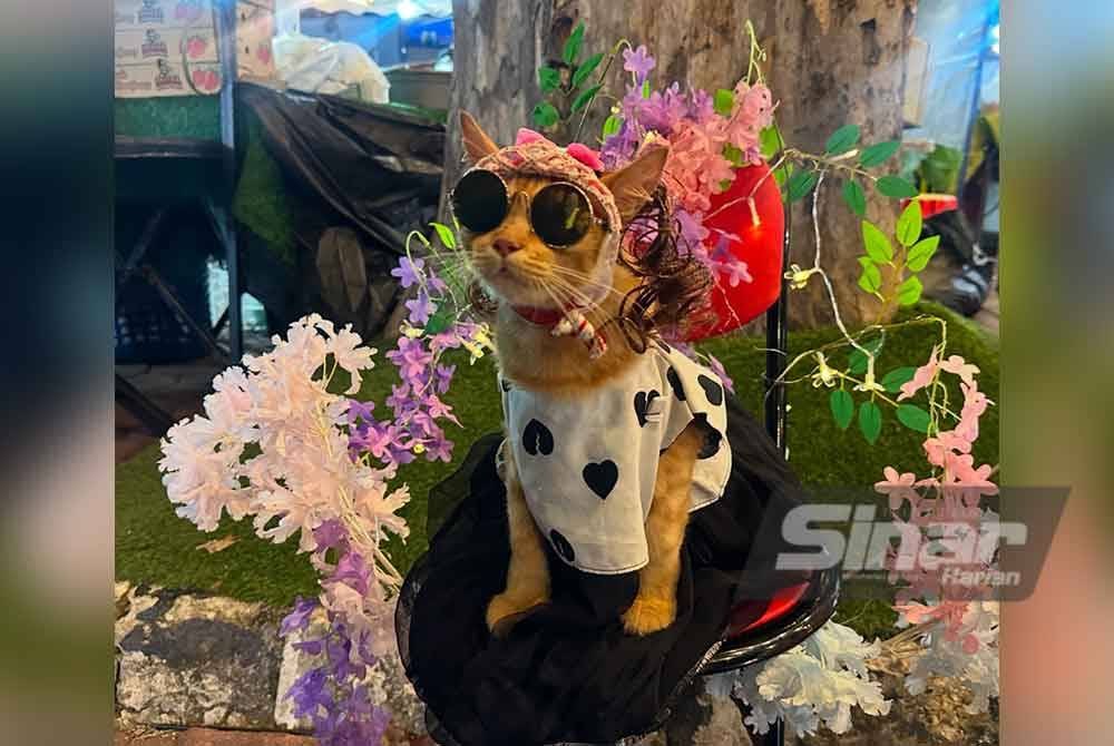 Adik Qis bergaya dengan memakai gaun dan berkaca mata hitam. FOTO SINAR HARIAN-ADILA SHARINNI WAHID.