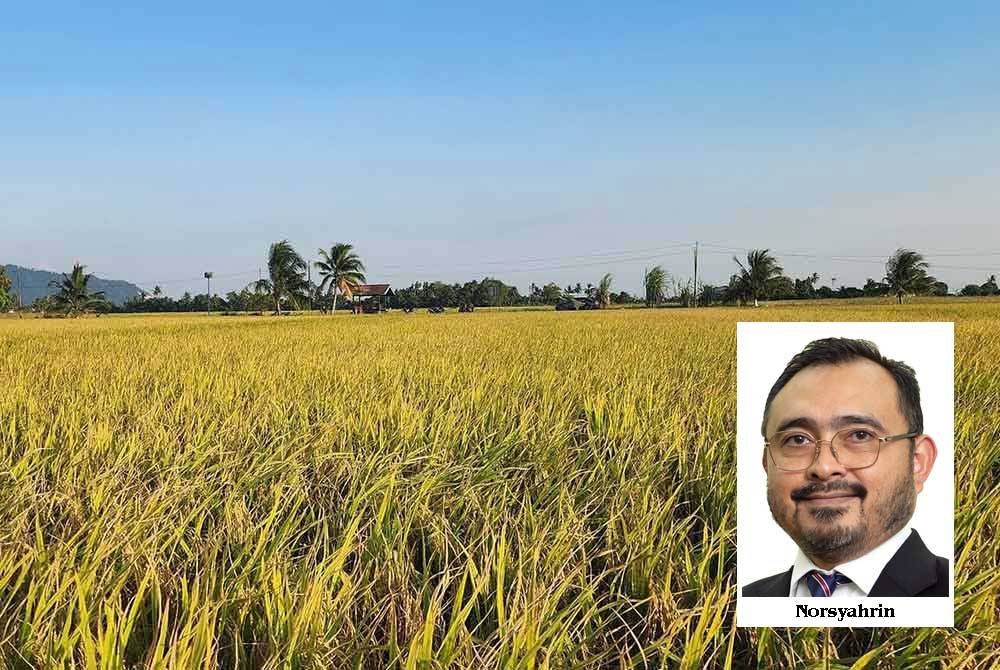 MTEM gesa tubuh suruhanjaya bebas pulih kedaulatan makanan negara. - Gambar hiasan