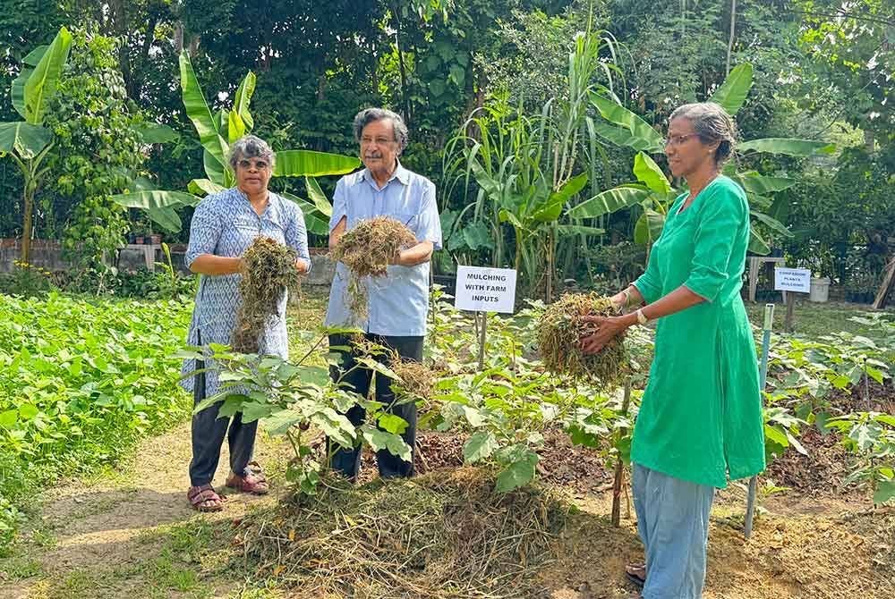 CAP menggesa para petani supaya menggunakan sungkup sintetik berbanding sungkup plastik kerana ia akan menjejaskan alam sekitar.