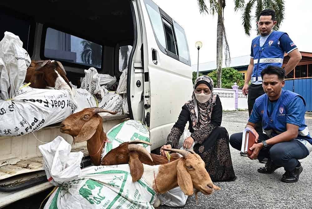 Dr Anun (dua, kanan) menunjukkan keadaan kambing yang diikat dalam guni.