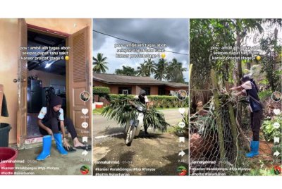 Rutin harian Siti Nuruljannah mengusahakan penternakan kambing biri-biri setelah bapanya disahkan menghidap kanser prostat tahap empat.