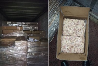 Sebahagian kotak-kotak berisi tongkeng ayam yang dirampas. Foto Maqis Johor