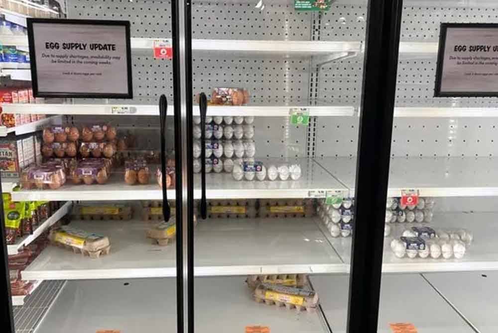 Notis kepada pelanggan pasar raya tentang kekurangan bekalan telur di Florida pada Khamis. - Foto Agensi
