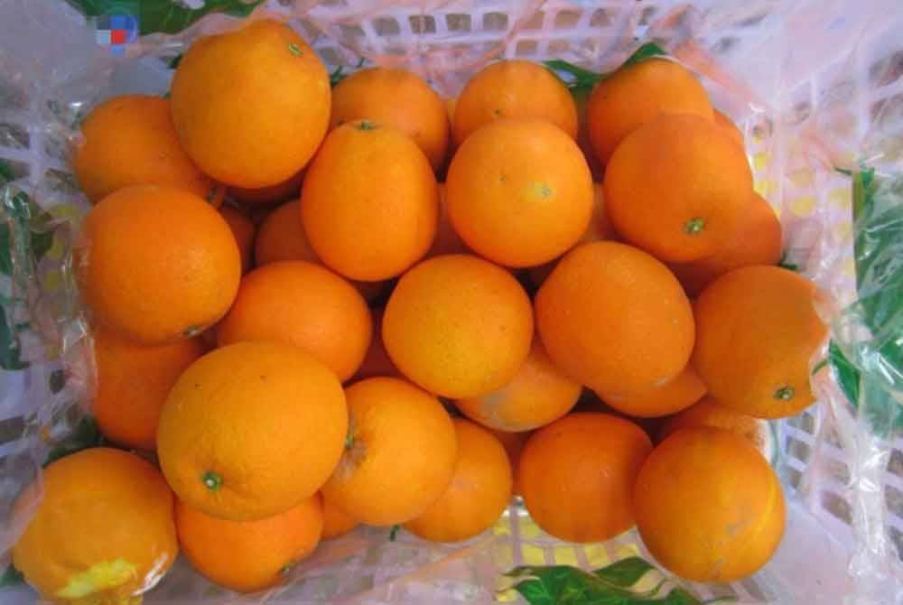 Sebanyak sembilan daripada 243 sampel limau mandarin dilupuskan KKM selepas didapati tidak mematuhi kadar maksimum residu racun perosak di bawah Peraturan-Peraturan Makanan (PPM 1985). Foto hiasan