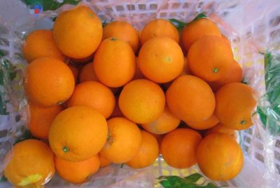 Sebanyak sembilan daripada 243 sampel limau mandarin dilupuskan KKM selepas didapati tidak mematuhi kadar maksimum residu racun perosak di bawah Peraturan-Peraturan Makanan (PPM 1985). Foto hiasan