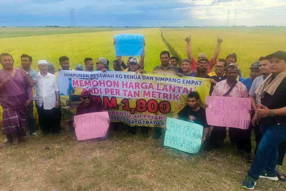 Pesawah di Kampung Benua dan Simpang Empat, Alor Setar memohon agar harga lantai padi per tan metrik dinaikkan pada RM1,800.