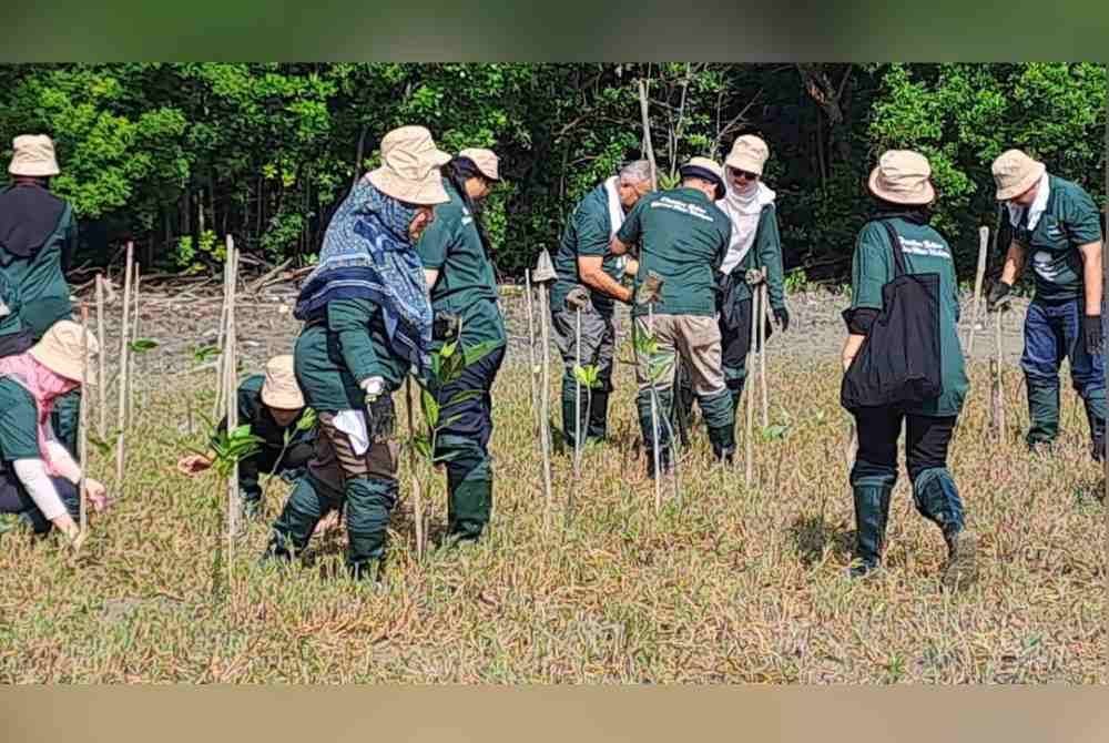 Pulau Ketam dipilih sebagai lokasi penanaman 2,000 anak pokok bakau.