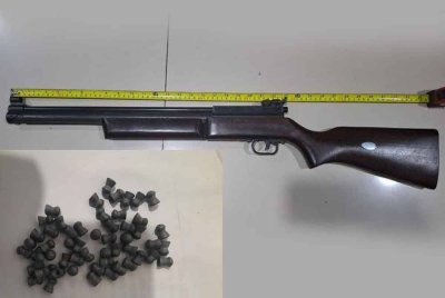 Polis merampas senapang angin dan beberapa peluru yang digunakan untuk menembak mati seekor kucing.