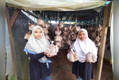 Afizah (kanan) bersama adiknya, Aisyah (kiri) menunjukkan produk cendawan dihasilkan.
