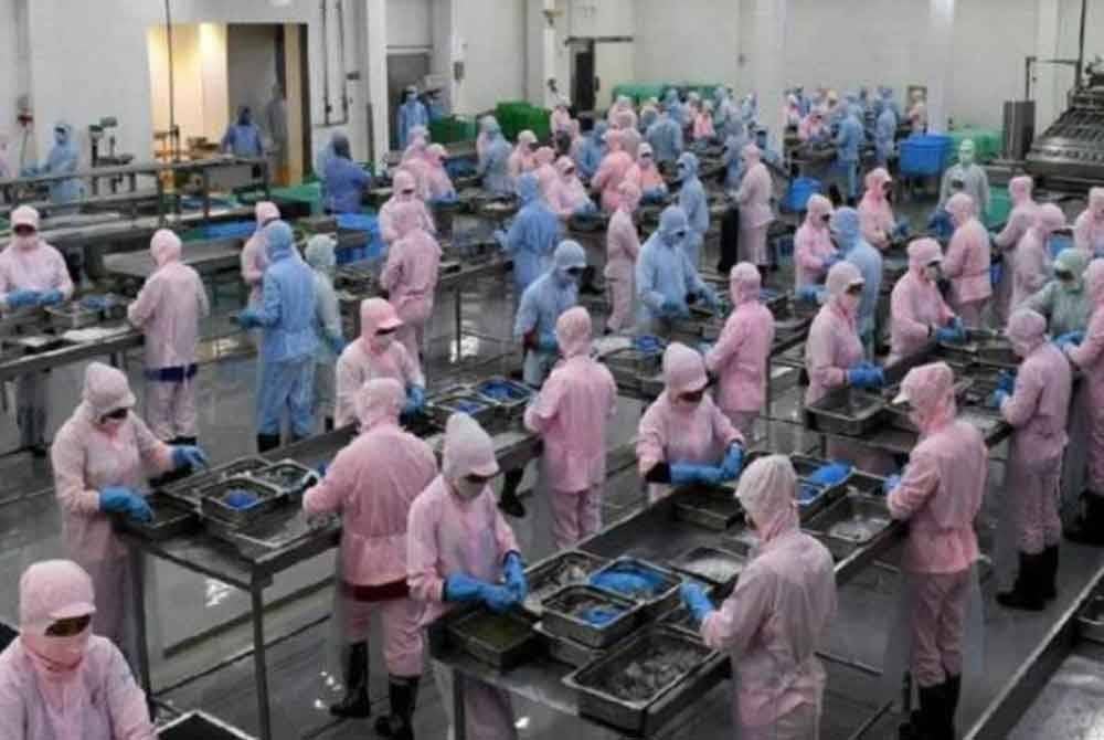 Majikan yang merancang untuk menutup operasi perniagaan melebihi hari kelepasan am yang diwartakan sempena Tahun Baharu Cina diingatkan agar tidak memaksa pekerja untuk mengambil cuti tahunan atau cuti tanpa gaji sepanjang tempoh tersebut - Gambar hiasan