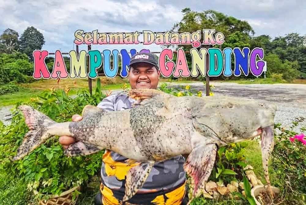 Mohamad Rais bersama ikan kenerak seberat 9kg yang berjaya ditangkap di Sungai Jelai.