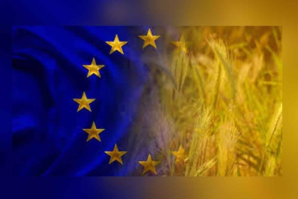 Suruhanjaya Eropah mencadangkan kenaikan tarif ke atas pelbagai produk pertanian dan baja dari Rusia serta Belarus dalam usaha mengurangkan lagi import dan akhirnya memberikan impak terhadap keupayaan Moscow untuk meneruskan perang terhadap Ukraine - Foto: Agensi