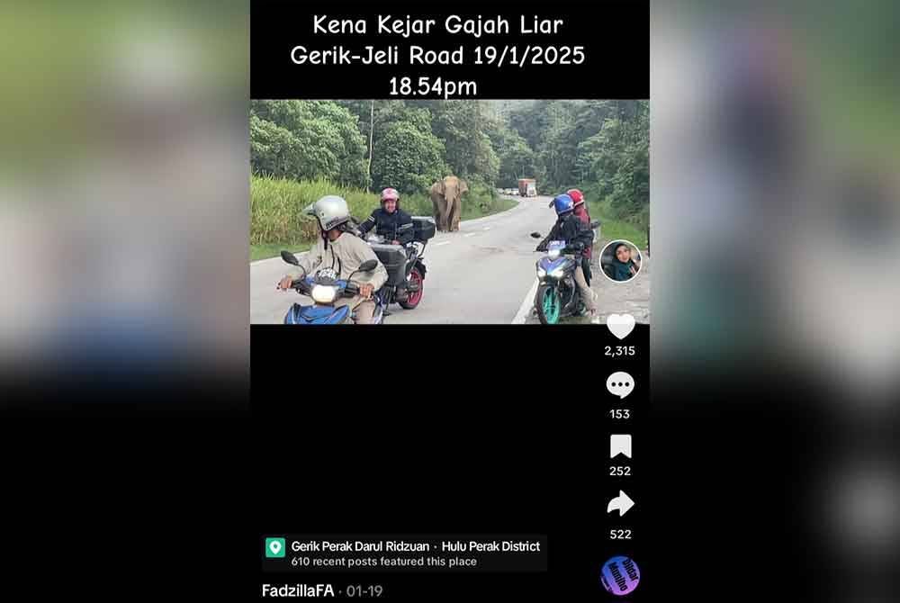Tangkap layar video di TikTok.