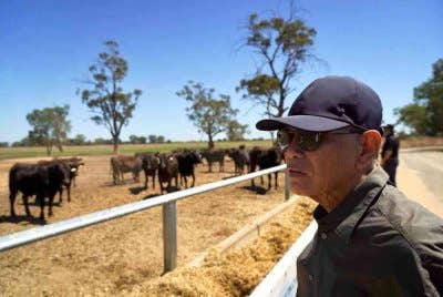 Wan Rosdy meninjau salah satu ladang ternakan lembu berkualiti tinggi sempena Lawatan Teknikal Penandaarasan Sektor Pertanian, Penternakan dan Perikanan Negeri Pahang ke Australia. Foto FB Wan Rosdy Wan Ismail