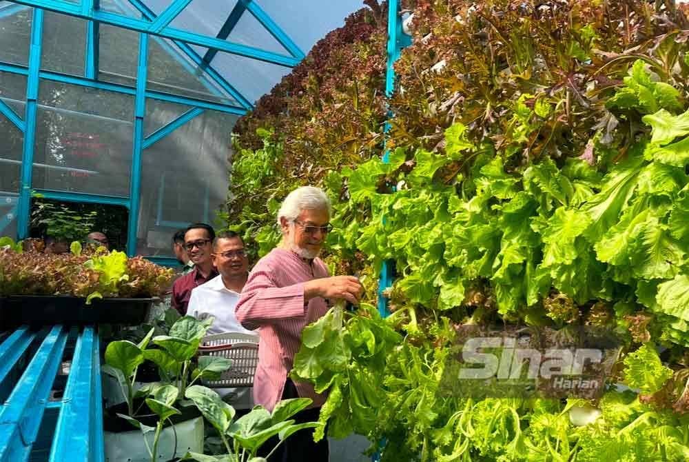 Khalid (kanan) memetik salad yang ditanam oleh kakitangan KADA. FOTO SINAR HARIAN-ADILA SHARINNI WAHID.