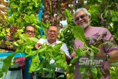 Khalid (kanan) menunjukkan hasil salad yang petik. FOTO: ADILA SHARINNI WAHID