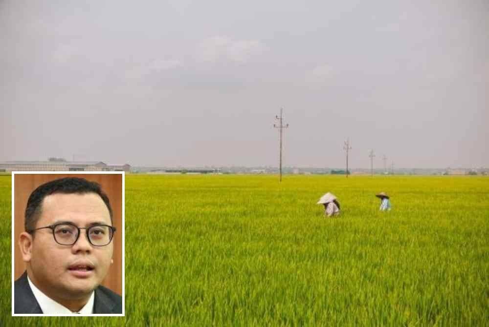 Kerajaan negeri sentiasa meningkatkan produktiviti pengeluaran pertanian tanpa bergantung sepenuhnya kepada keluasan tanah tetapi kualiti tanah secara mampan dan bukannya jangka masa pendek. Foto kecil: Amirudin