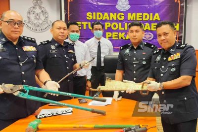 Mohd Zaidi bersama pegawainya menunjukkan antara peralatan yang dirampas susulan penahanan tiga individu yang terlibat kes curi kabel di daerah Pekan, baru-baru ini. FOTO SINAR HARIAN