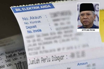 Kerajaan digesa menilai semula keputusan menaikkan tarif elektrik bermula Julai ini kerana alasan yang diberikan oleh Perdana Menteri didakwa sebagai simplistik dan tidak tepat. 