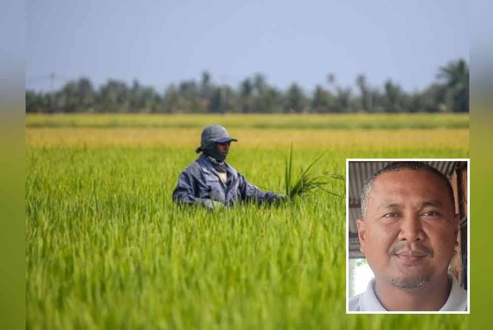 Pesawah mempunyai hak untuk memberi sebarang cadangan menerusi memorandum yang akan dihantar ke Pejabat Perdana Menteri hari ini. Foto kecil: Abdul Rashid