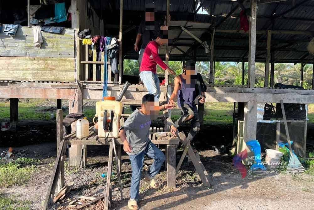 Antara PATI yang ditahan ketika serbuan di empat premis termasuk kandang ternakan dalam ladang kelapa sawit sekitar Felda Tenggaroh pada Isnin. - Foto JIM Johor