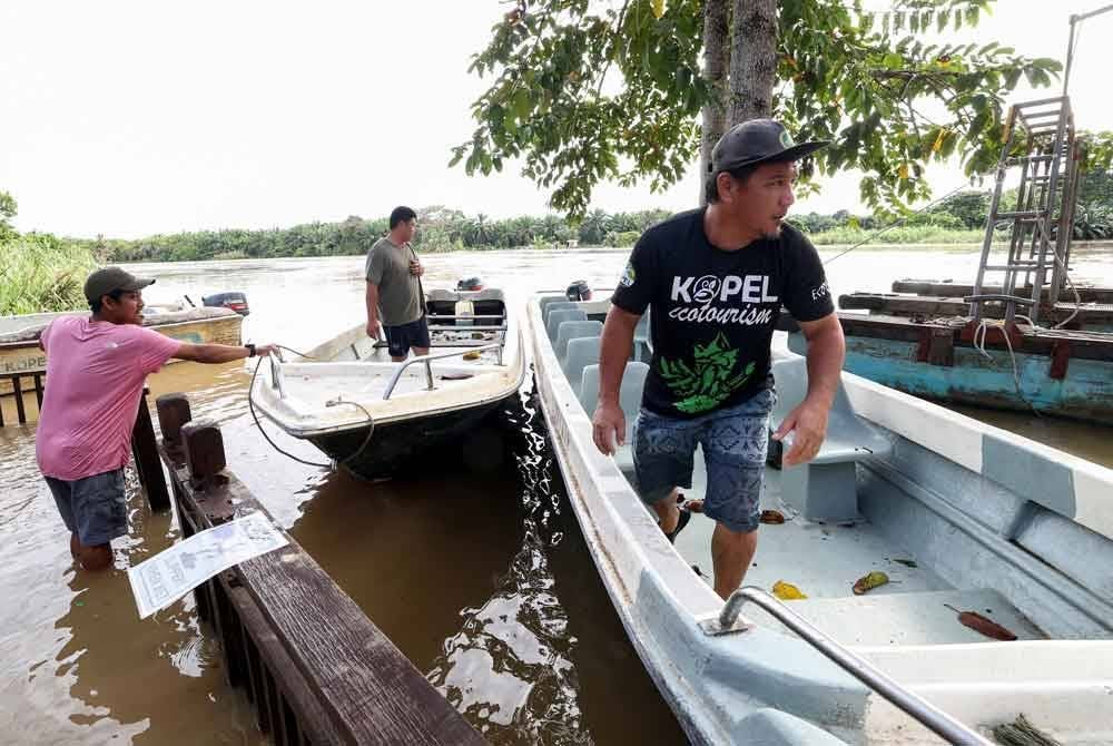 Pengurus Besar Koperasi Pelancongan Mukim Batu Putih Kinabatangan Bhd (KOPEL) Saidal Udin (kiri) membantu kakitangan resort mengalihkan bot dari tebing Sungai Kinabatangan selepas air sungai melimpah ketika tinjauan di Kampung Mengaris 1, pada Khamis. Foto Bernama