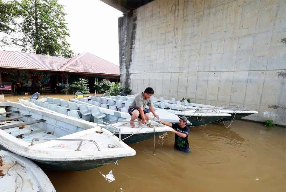 Dua kakitangan Koperasi Pelancongan Mukim Batu Putih Kinabatangan Bhd (KOPEL) menyusun bot pelancong selepas pusat pelancongan itu menutup operasi buat sementara berikutan banjir dari limpahan Sungai Kinabatangan di Kampung Mengaris 1 ketika tinjauan, pada Khamis. Foto Bernama