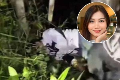 Tangkap layar penemuan Eyka di TikTok @Arasz.