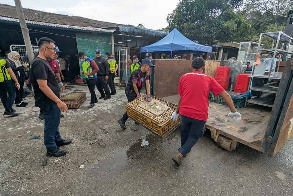 MPKu menjalankan satu Operasi Bersepadu bersama PDRM, SSM, KPDN Negeri Johor bagi membanteras premis perniagaan warga asing yang beroperasi secara haram.