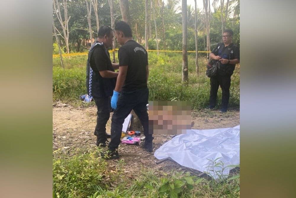 Anggota polis melakukan siasatan di lokasi penemuan mayat lelaki di ladang getah di Kampung Kubu, Marang pada Ahad.