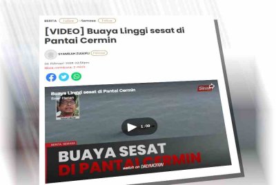 Laporan Sinar Harian berkenaan buaya sesat di Pantai Cermin.