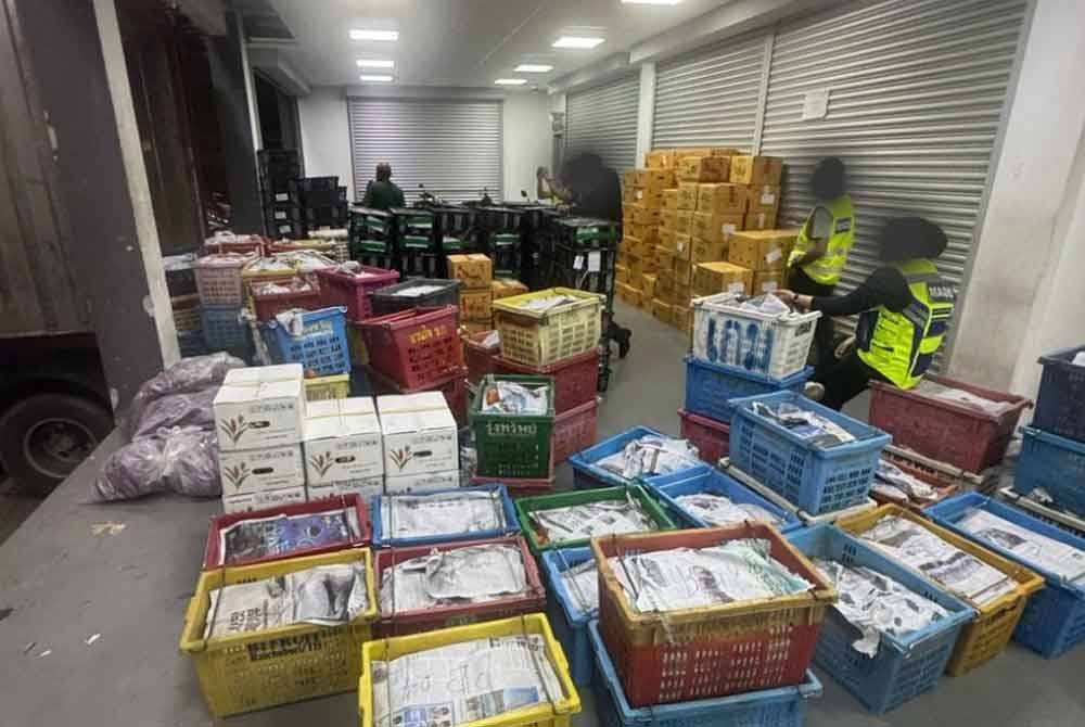 AKPS berjaya mematahkan cubaan membawa masuk bekalan sayuran berjumlah 2,215 kilogram dari negara jiran tanpa perakuan sah. Foto AKPS
