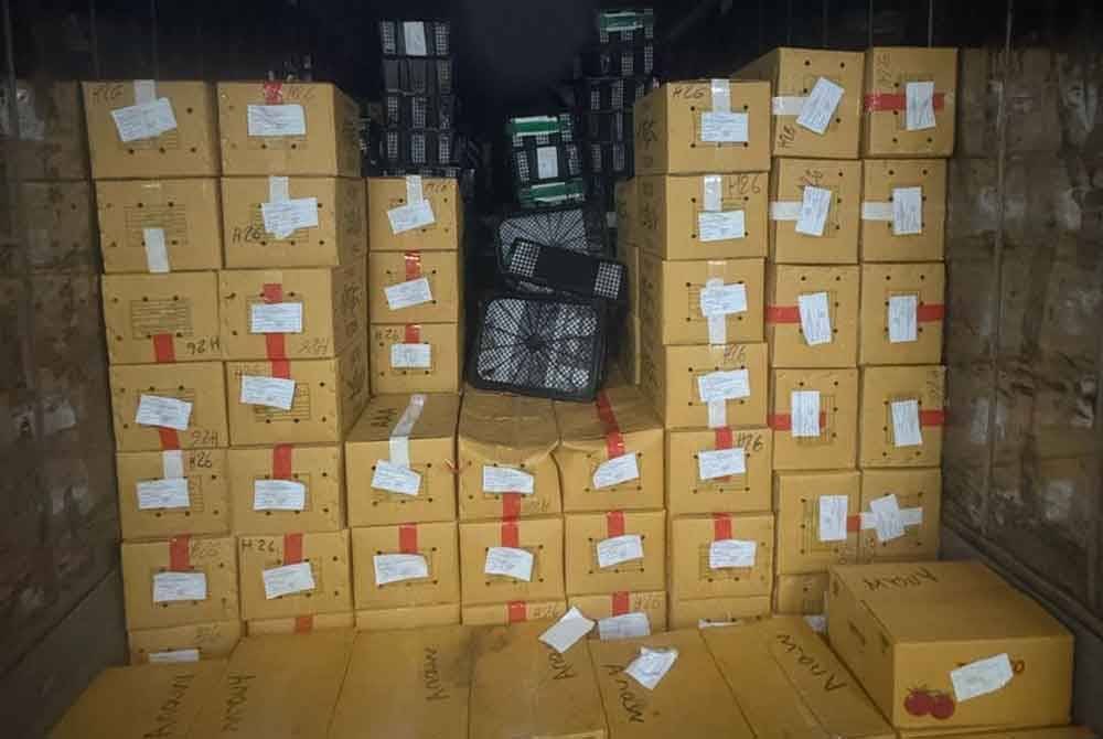 Cubaan membawa masuk sayuran seperti tomato dan halia dari Thailand itu berjaya dipatahkan di Kompleks Imigresen, Kastam, Kuarantin dan Keselamatan (ICQS) Bukit Kayu Hitam pada Isnin, jam 10.30 malam kerana tiada perakuan sah. Foto AKPS