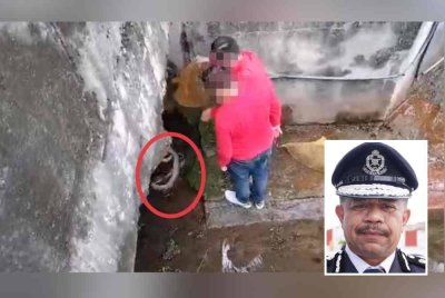 Rakaman video memaparkan ular sawa yang dilepaskan dalam longkang di Jalan Persiaran Putra Permai, Putra Height di Subang Jaya. Gambar kecil: Wan Azlan