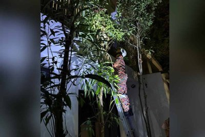 Anggota bomba dalam proses membuang sarang lebah.