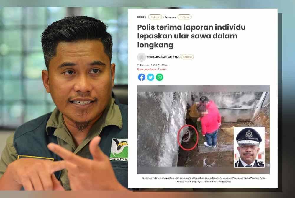 Wan Mohd Adib. Laporan Sinar Harian berhubung video tular yang memaparkan individu melepaskan ular sawa dalam longkang di Jalan Persiaran Putra Permai, Putra Height, Subang Jaya.