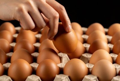 Masalah ini menjejaskan beberapa rangkaian pasar raya utama, didorong wabak selesema burung terbesar dalam tempoh 10 tahun.